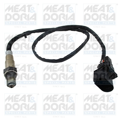 Oxygen Sensor
